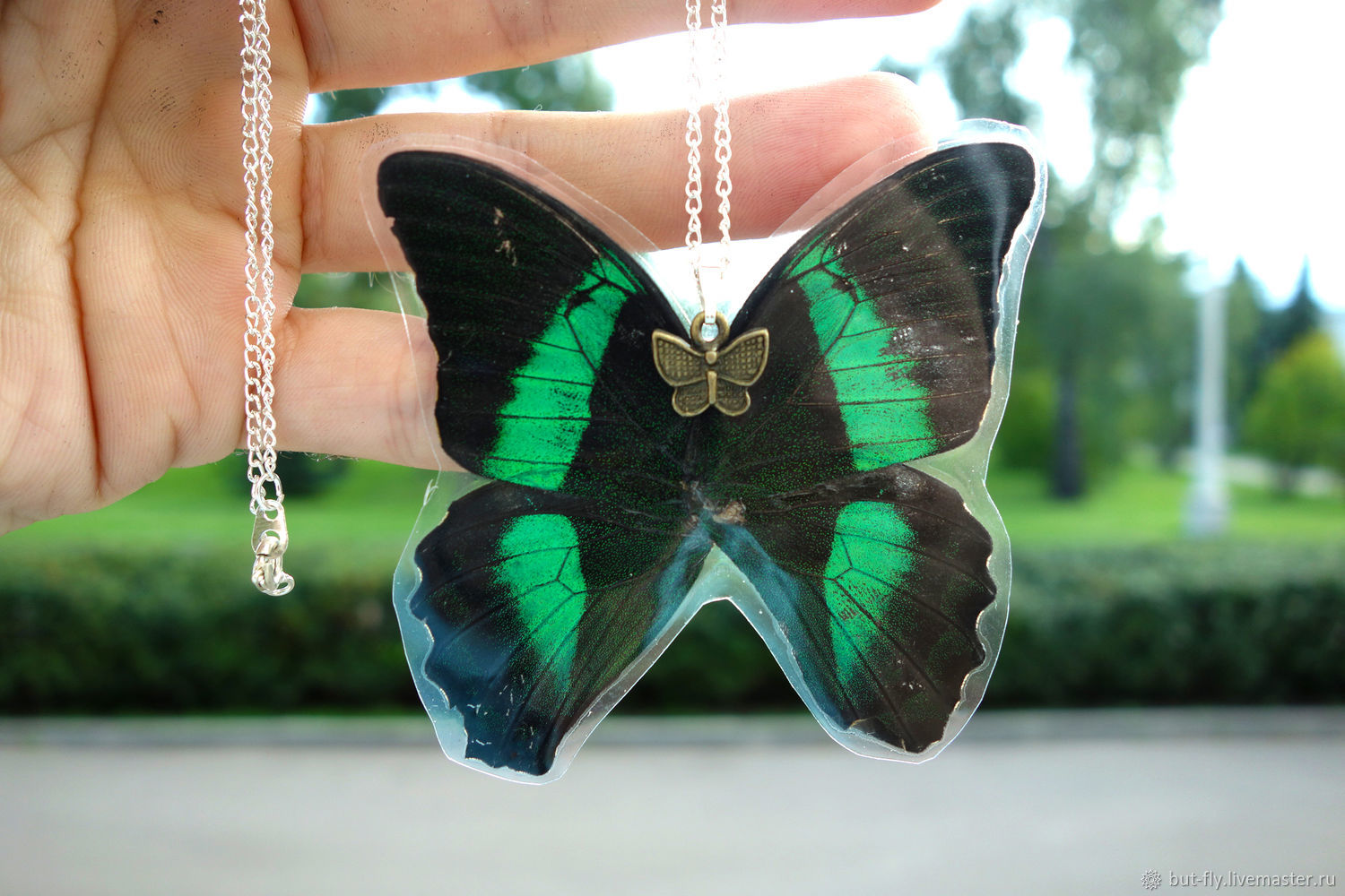 Видео где бабочка. Кулон бабочка. Медальон бабочка. Кулон из бабочки. Подвеска "бабочки".