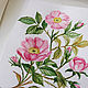 Botanical watercolor painting a sprig of rosehip. Pictures. vettochka. My Livemaster. Фото №4