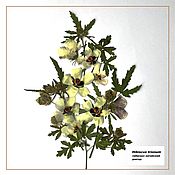 Сухоцветы гербарий  набор"колокольчиковый лен мак" СЛ5
