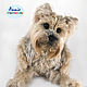 Yorkshire terrier, interernaya punto de juguete. Stuffed Toys. AnnieIKnitToys. Интернет-магазин Ярмарка Мастеров.  Фото №2