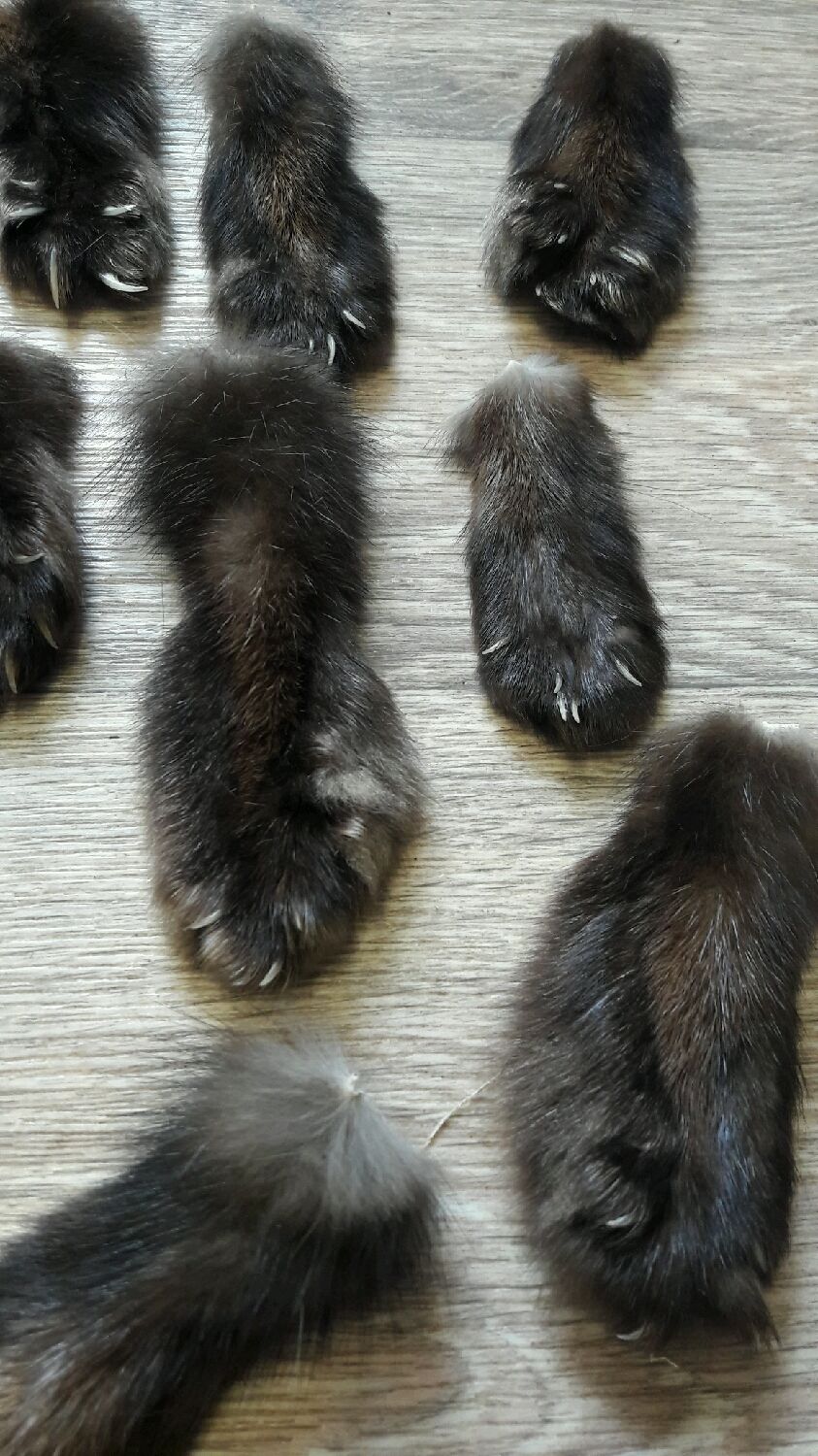 Купить Мех В Перми На Авито Бу