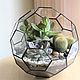 Order The Floriana Tiffany the ball with the succulents and cactus. Glass Flowers. Livemaster. . Florariums Фото №3