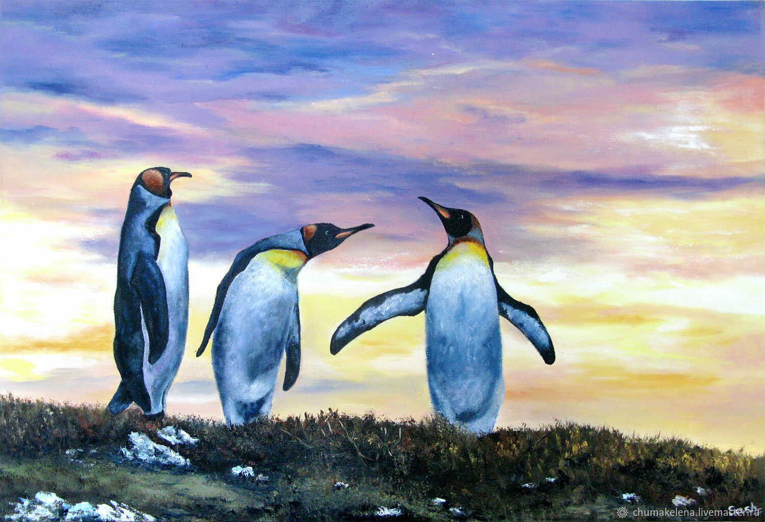 Пингвин картина