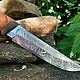 Knife 'Caesar' Zlatoust. Gifts for hunters and fishers. wow-zlat-gifts (wow-zlat-gifts). My Livemaster. Фото №4