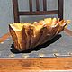 Резная фруктовница из дерева "Ракушка". Фруктовницы. Авторская резьба Оксаны Демиденко. Ярмарка Мастеров.  Фото №4