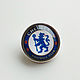 The icon of Chelsea football club, Badge, Moscow,  Фото №1