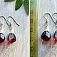 Order Amber. Earrings 'Pomegranate seeds' amber steel. Frollena II. Natural Baltic amber. Livemaster. . Earrings Фото №3