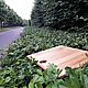Доска разделочная Сервировка дня. Разделочные доски. Роман Чашкин. Ярмарка Мастеров.  Фото №6