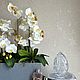 Заказать Орхидеи в вазоне «Тренд». VIVA-FLORA от Оксаны Миткевич. Ярмарка Мастеров. . Композиции Фото №3
