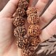Бусины рудракши. Бусины. Gems for Art (Indianstones). Ярмарка Мастеров.  Фото №9