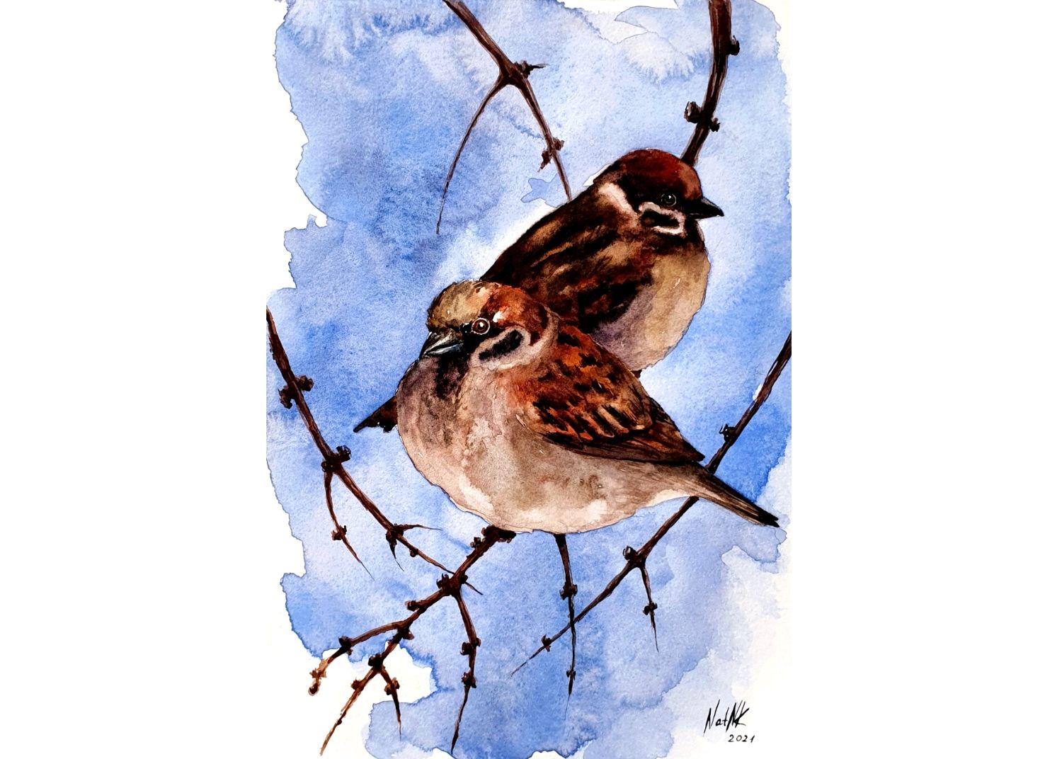 Картина Воробьи Картинка акварелью Птицы на ветке 18х12,5 см в интернет ...