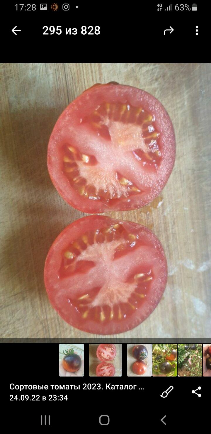 Сортовой томат с антоцианом Мушкетеры в интернет-магазине Ярмарка Мастеровпо цене 50 ₽ – RYPPERU