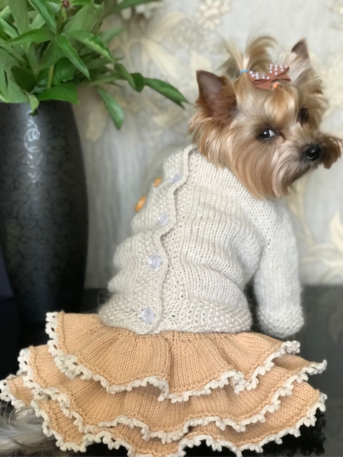 Схемы вязания свитеров для собак