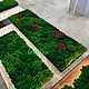 Панно из мха 185*65см. Фитокартины. Green.Box. Ярмарка Мастеров.  Фото №4