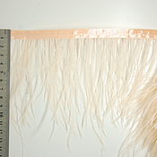 Материалы для творчества handmade. Livemaster - original item Trim of ostrich feathers 10-15 cm light peach. Handmade.