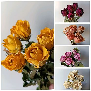 Розы сухоцвет одноголовые белые, жёлтые, персиковые, розовые, бордо. . Цветы и флористика ручной работы - Ярмарка Мастеров Цветы и флористика ручной работы. Ярмарка Мастеров - ручная работа Розы сухоцвет одноголовые белые, жёлтые, персиковые, розовые, бордо. Handmade.
