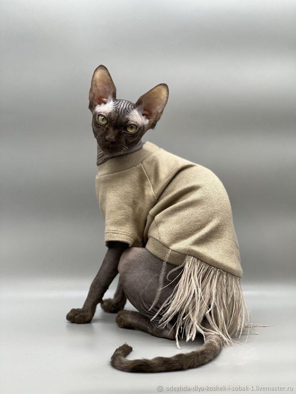 свитер для кошки - Страна Мам