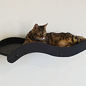 Wall-mounted complex for cats 