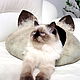 'Eeyore. Baked milk' house cat fleece, Pet House, St. Petersburg,  Фото №1