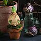 Hyacinth bulb in a pot. Miniature plants and flowers. Secret Jar. My Livemaster. Фото №6