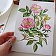 Botanical watercolor painting a sprig of rosehip. Pictures. vettochka. Online shopping on My Livemaster.  Фото №2
