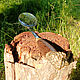 Spoon skimmer handle wenge tree, the head of the beast 'Lion'. Spoons. The Gift Oasis. My Livemaster. Фото №12