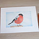 Painting interior birds bullfinch Painting as a gift Painting for children. Pictures. nataliya-grevtsova. My Livemaster. Фото №5