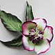 hellebore brooch, Brooches, Moscow,  Фото №1