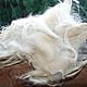 White washed dog hair . Wool. Livedogsnitka (MasterPr). Online shopping on My Livemaster.  Фото №2