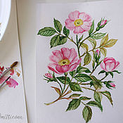 Картины и панно handmade. Livemaster - original item Botanical watercolor painting a sprig of rosehip. Handmade.