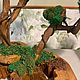 Дерево Бонсай стабилизированный мох. Бонсай. Osoка декор. Интернет-магазин Ярмарка Мастеров.  Фото №2