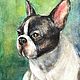 Портрет собаки акварелью французский бульдог