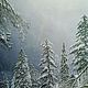 Autor de una pintura de Invierno en las montañas de sochi.( Vladimir Tarasov). Pictures. Vladimir Tarasov. Ярмарка Мастеров.  Фото №4