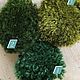 Stabilized moss forest tussock (0,5 kg) from the manufacturer, Materials for floristry, Belgorod,  Фото №1
