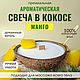 Свеча в кокосе МАНГО, 250 мл, Свечи, Москва,  Фото №1