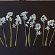 Сухоцвет подснежник плоская сушка (набор - 12), Цветы сухие и стабилизированные, Егорьевск,  Фото №1