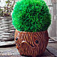 Order pots: Mandrake for cactus or succulent. alisbelldoll (alisbell). Livemaster. . Pots1 Фото №3