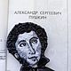 Портретная брошь Молодой Пушкин. Брошь-булавка. Творческий мир Гриневой Татьяны. Ярмарка Мастеров.  Фото №5