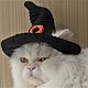Хэллоуинская шляпа для кошки или маленькой собачки, Одежда для питомцев, Волгореченск,  Фото №1
