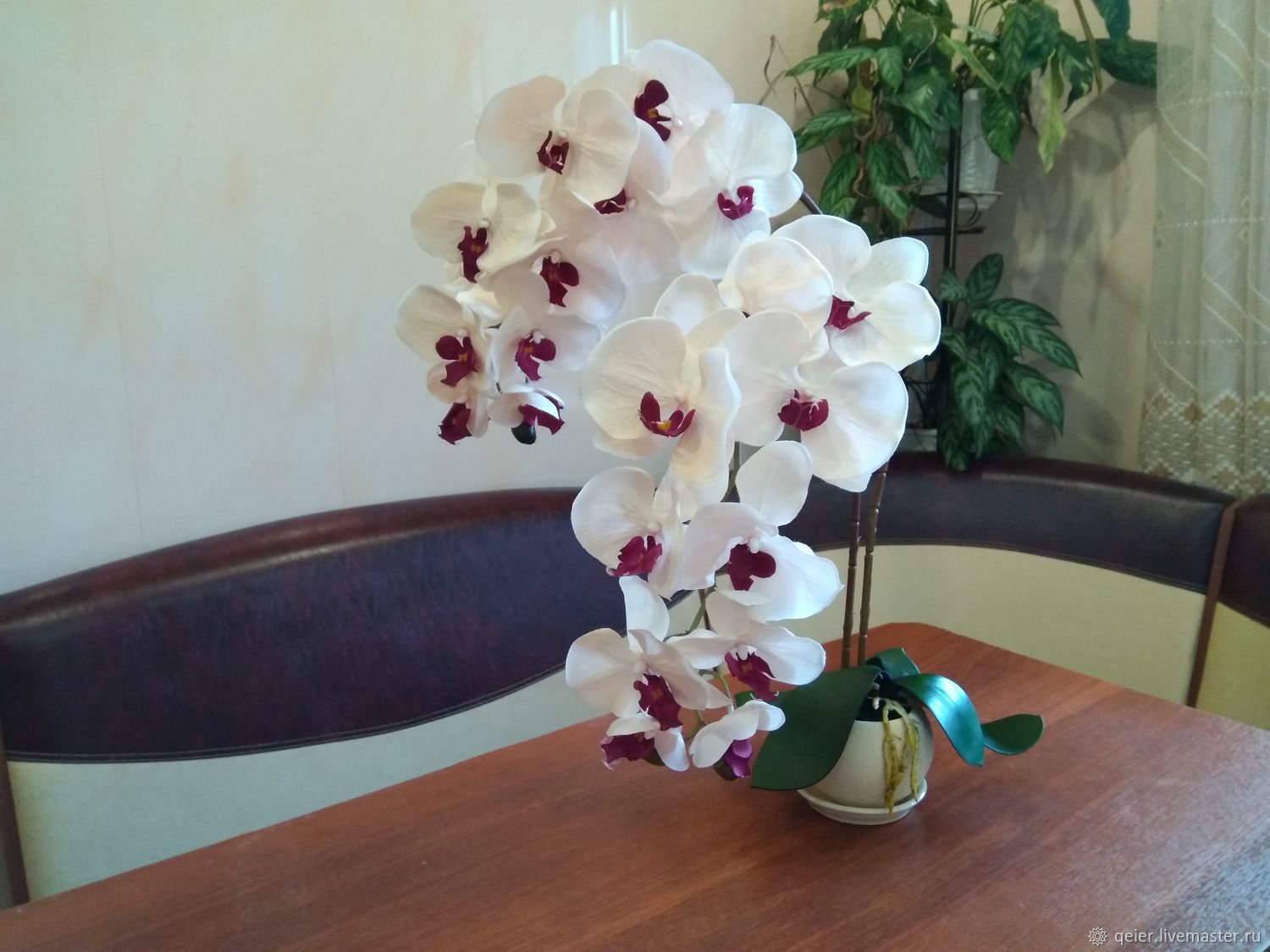 Наталья Королева орхидеи