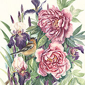 Copy of Copy of Painting watercolor peonies  Peonies in garden