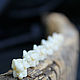 Coral beads 'White Elephant' 5 PCs, Beads1, Tambov,  Фото №1
