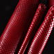 Python skin, hide, width 30-34 cm IMP2100H, Leather, Moscow,  Фото №1