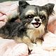 Chihuahua Jean-Georges. Stuffed Toys. SmallMiracleStudio. My Livemaster. Фото №6