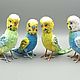 Budgies 'Teddy' (yellow remained), Stuffed Toys, Moscow,  Фото №1