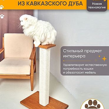 Товары для кошек купить в Киеве - низкая цена, доставка по Украине, отзывы клиентов