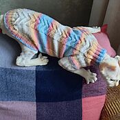 Plush sweater for cats(cat)