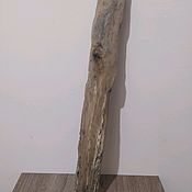 Коряга дрифтвуд driftwood светлая