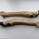 Patas de Corzo, Natural materials, Chrysostom,  Фото №1