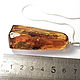 Very large pendant made of natural Baltic amber(91). Pendant. amber-kaliningrad. My Livemaster. Фото №6